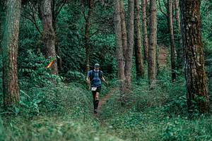 BIB: 
                            <button type="button" onclick="openModal(25236237)" class="btn btn-primary btn-sm float-right btn-popup" data-toggle="modal" data-target=".modal-high-quality">
                        <i class="fas fa-shopping-cart"></i> Add to Cart
                    </button>
                                            <button type="button" onclick="isThisMe(25236237, true)" class="btn btn-success btn-sm float-right btn-popup btn-isme hidden" data-toggle="tooltip" data-placement="bottom" title="นี่คือรูปของคุณใช่ไหม คลิกที่นี่เพื่อเอาเข้าอัลบั้ม">
                        <i class="fas fa-plus"></i> Add to album
                    </button>
                    <button type="button" onclick="isThisMe(25236237, false)" class="btn btn-warning btn-sm float-right btn-popup btn-isnotme hidden">
                        <i class="fas fa-ban"></i> Remove from album
                    </button>